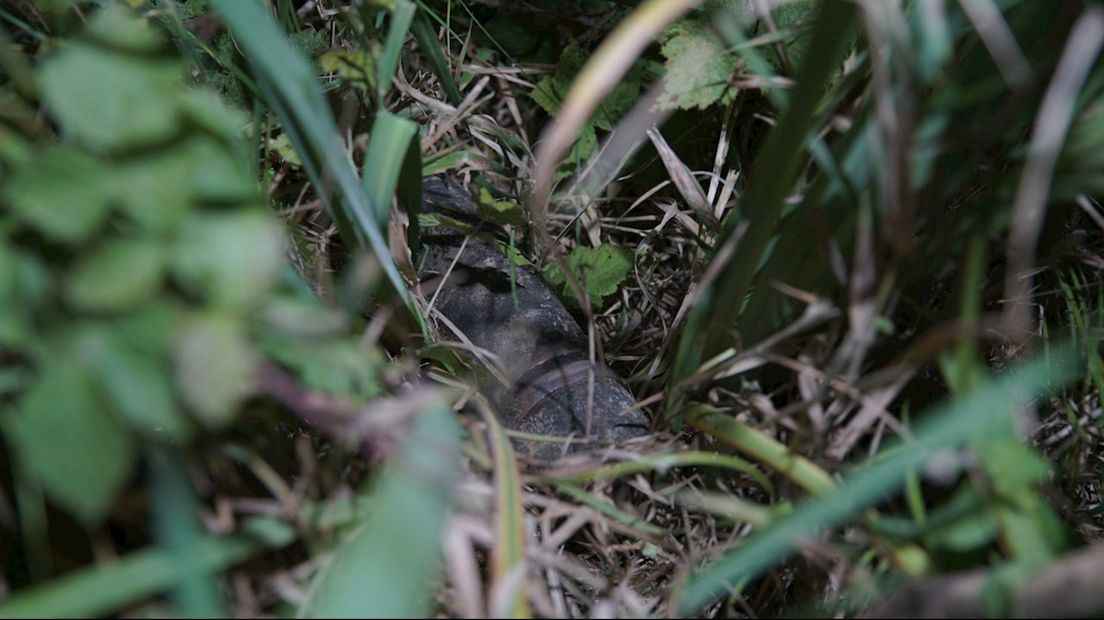 Magneetvissers vinden bom uit Tweede Wereldoorlog in IJssel bij Deventer