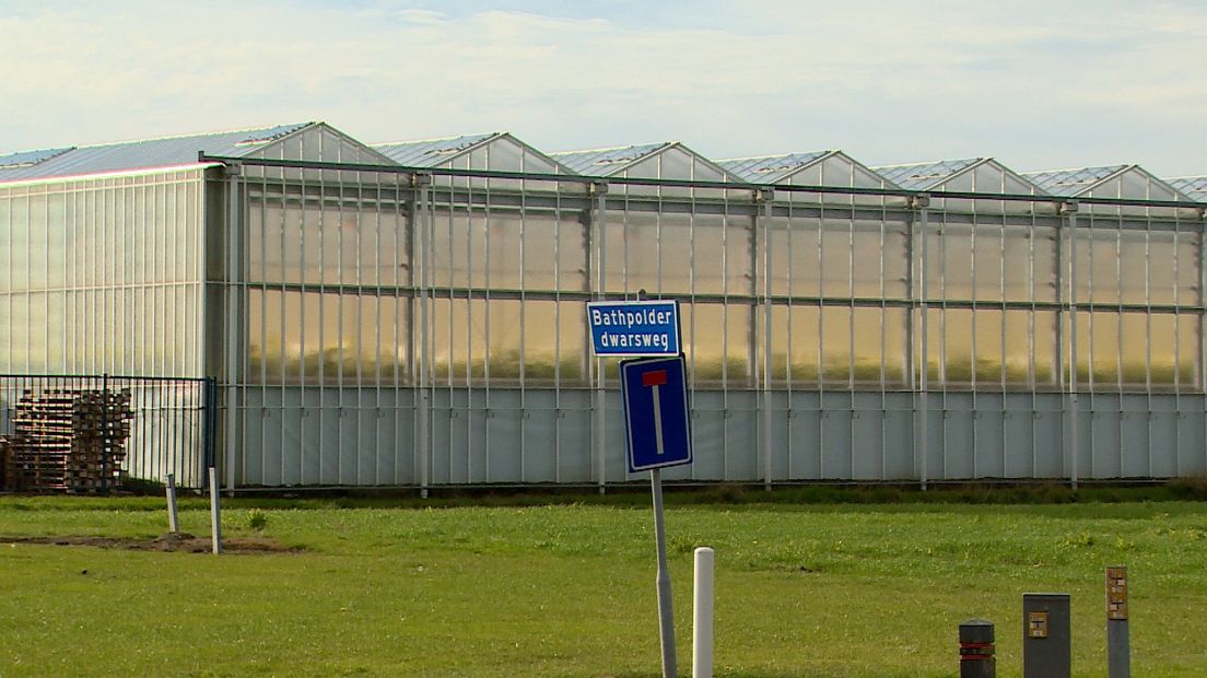 Kassen in Bathpolder waar biovergister naast komt te staan