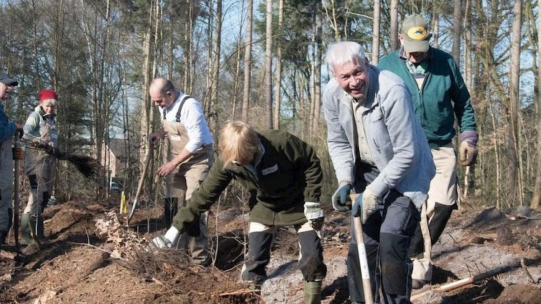 Vrijwilligers helpen mee met het planten van de loofbomen