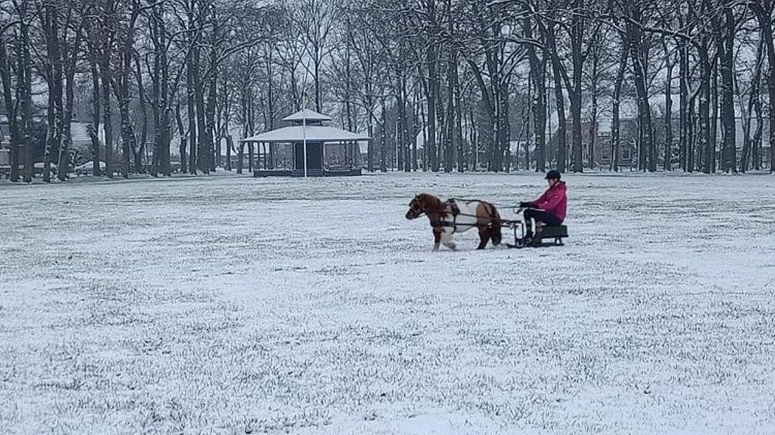 Met paard en slee over de Brink in Annen