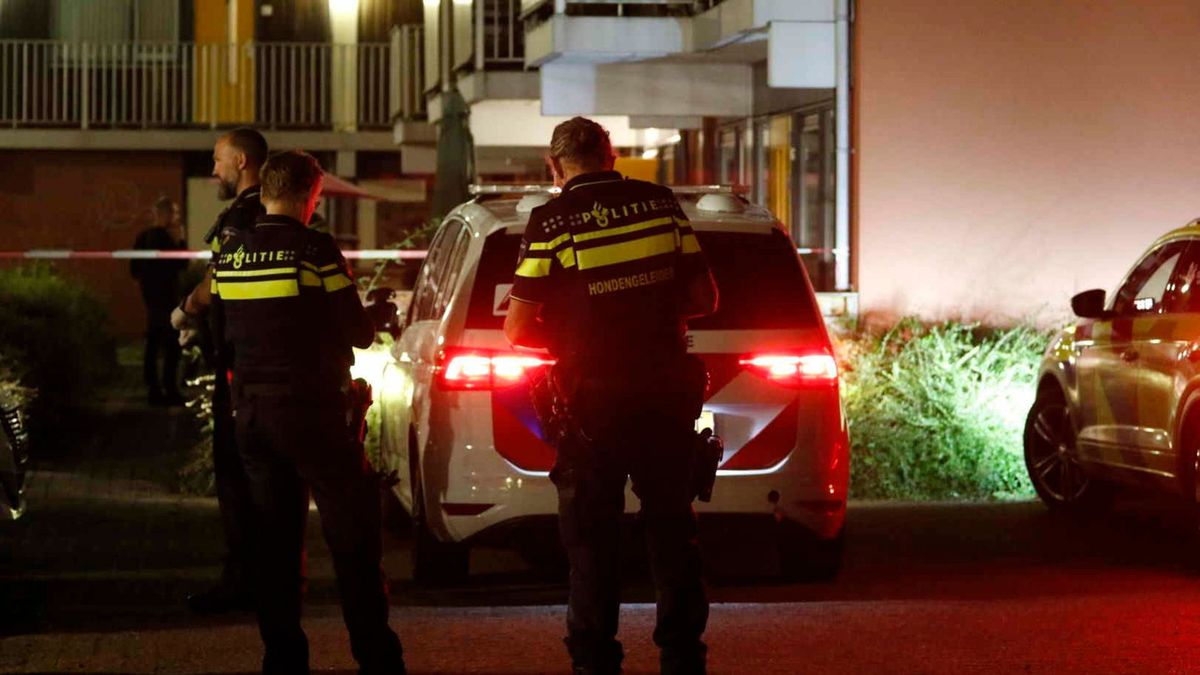 Cel en tbs voor steekincident Emmer wijk Bargeres