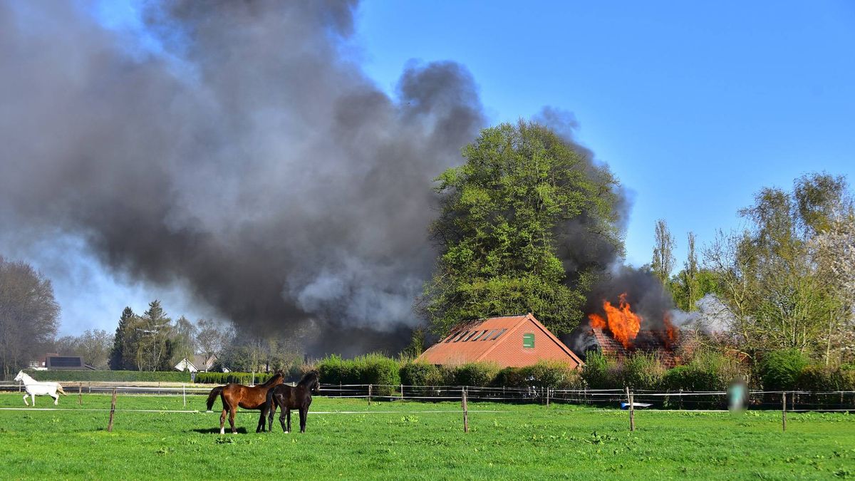 Uitslaande brand in agrarisch bedrijf in Ospel: vlammen slaan uit het dak