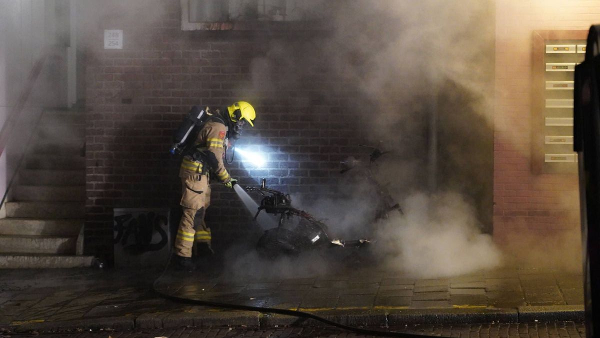 Afvaldumping in natuur • auto botst tegen boom