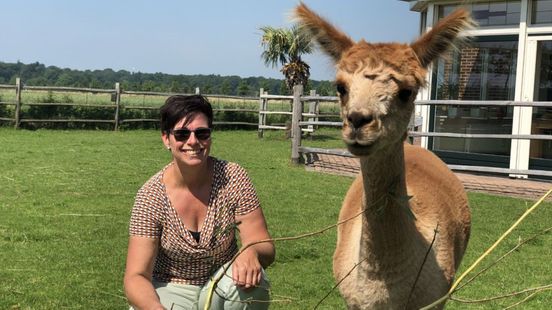 Geld voor longcovidonderzoek raakt op, wanhoop bij patiënten groeit