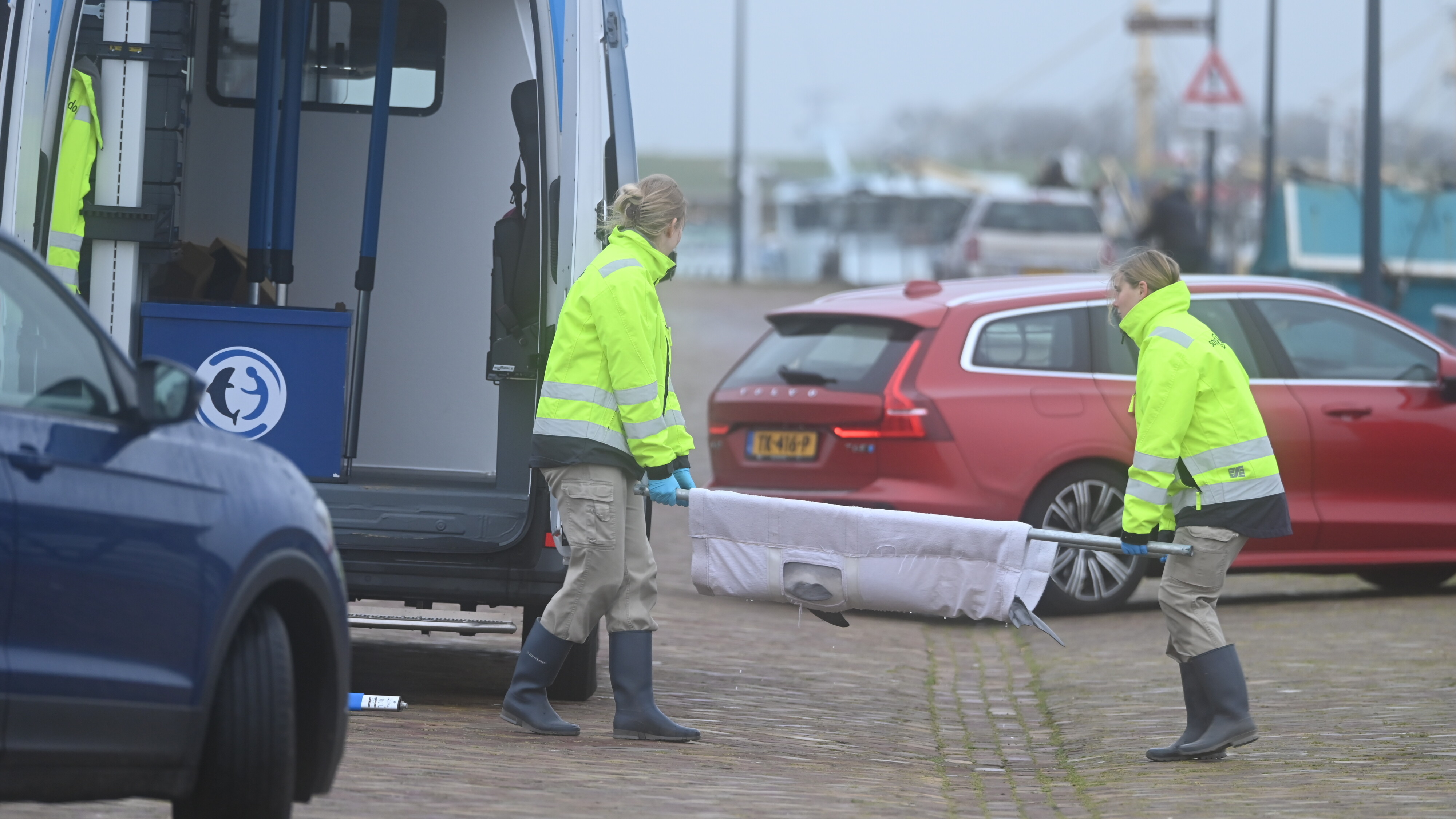 Sa waard de brúnfisk snein ferfierd