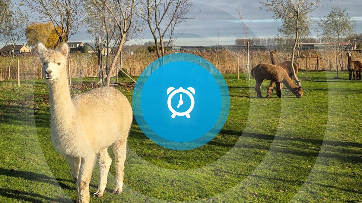 Goedemorgen! Een dag vol pakjes, deegventers en ijspret