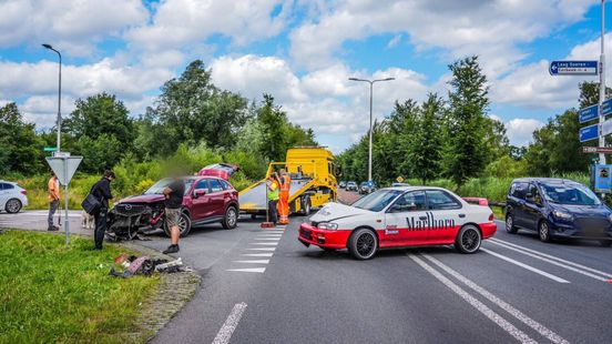 Hond ongedeerd bij ongeval • nepagenten actief. Hond ongedeerd bij ongeval • nepagenten actief.