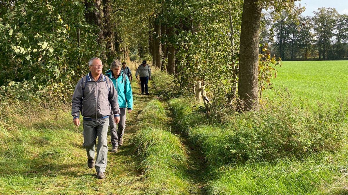Een drankje, een hapje, een plasje en de eerste blaar: Sallandse Wandelvierdaagse vrolijk van start