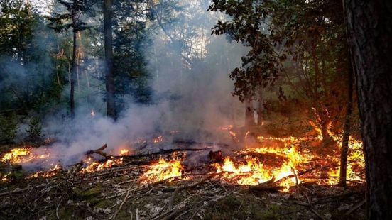 Oppassen voor brand in de natuur: 'We vergeten onze vuurgeschiedenis'