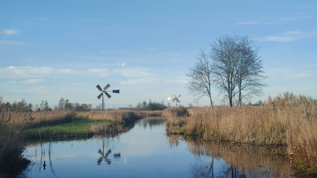 In De Wieden en De Weerribben begint vandaag de strijd tegen exotische waterplanten.