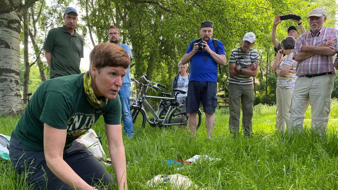 Er komen veel mensen af op de gebeurtenis