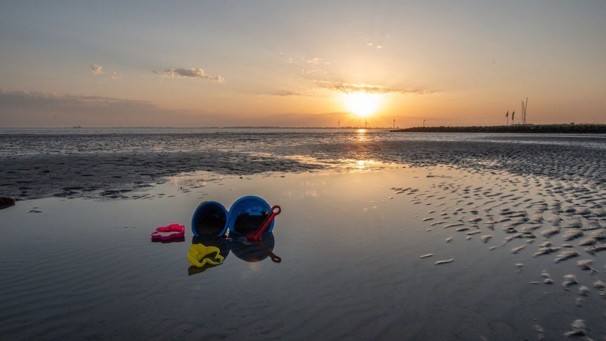 Eropuit in de natuur? Dit is er in juli te doen in Groningen