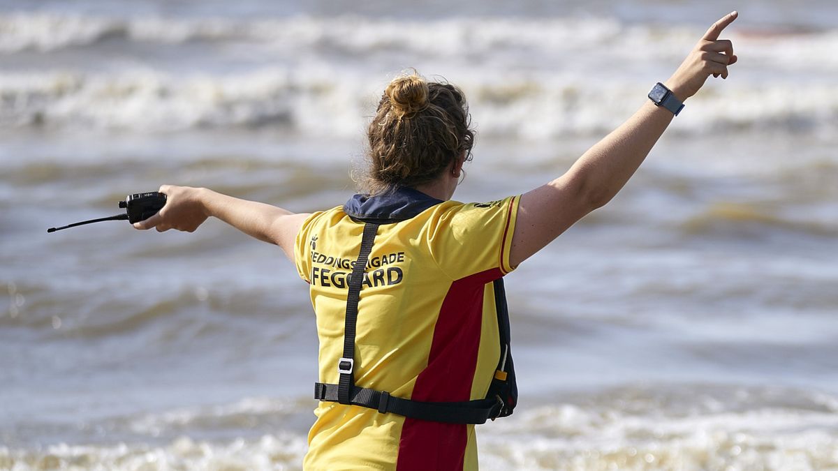 Zomerblog | Gele vlag gehesen vanwege gevaarlijke zee - Waarschuwing voor zeehonden op strand