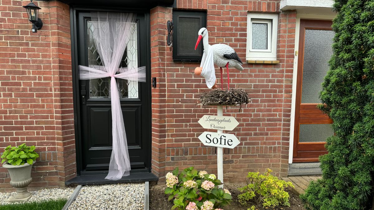 Waar is de ooievaar in de voortuin gebleven? - L1 Nieuws
