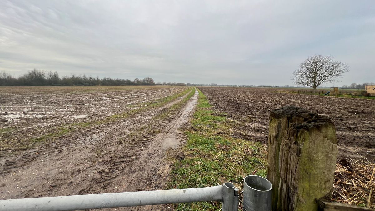 Met de bouw van 1200 woningen wordt Odijk een dorp voor forensen: 'Hoop dat het dorpse blijft'
