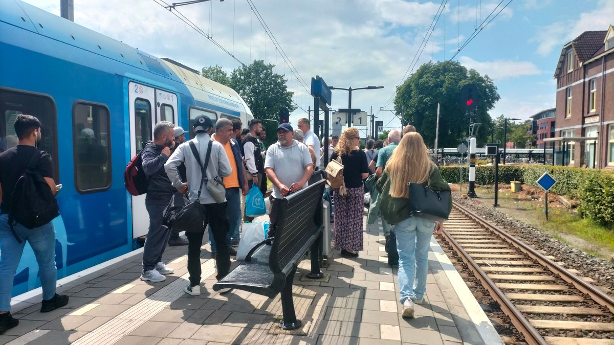 Geen treinen tussen Nieuw-Amsterdam en Hardenberg door seinstoring