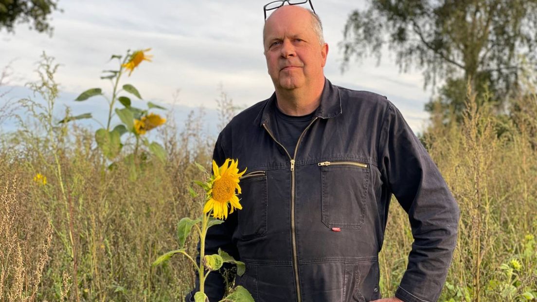 Hendrik Luth met een van zijn zonnebloemen