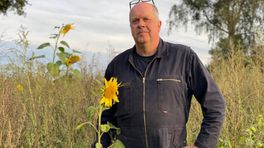 Boer geeft gratis zonnebloemen weg 'om de mensen een gelukkig gevoel te geven'
