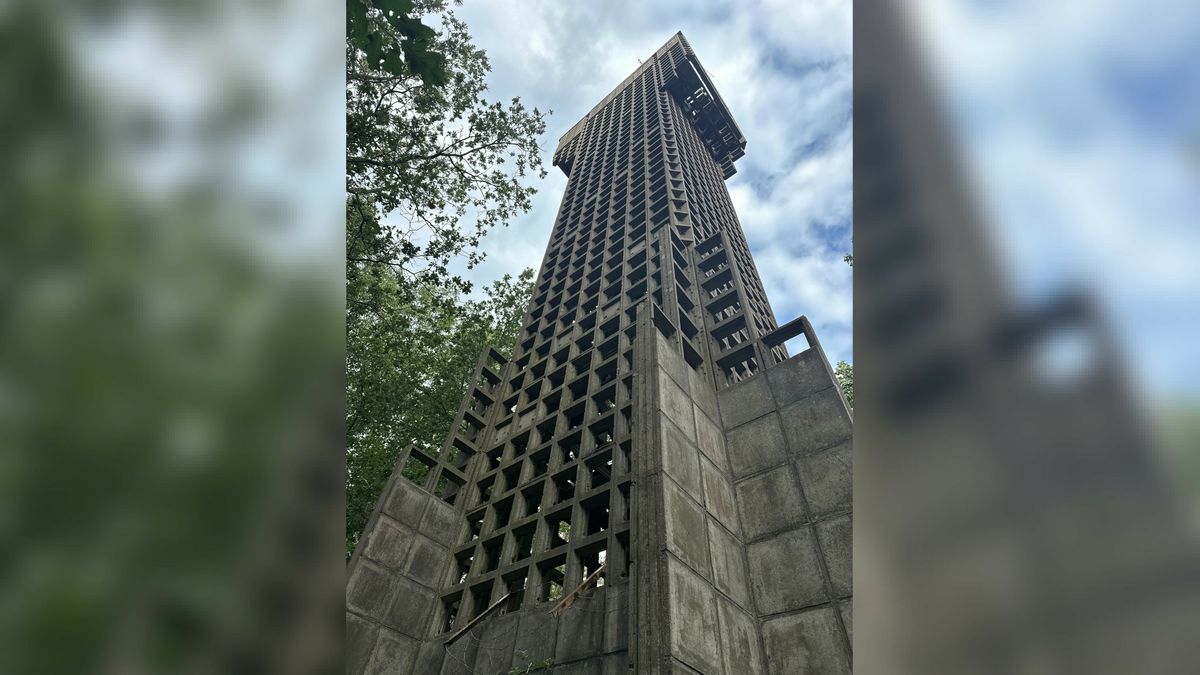 Op pad in de Drentse natuur, ook tijdens de laatste dagen van het jaar