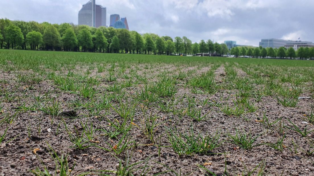 Boeren herstellen Malieveld na het boerenprotest van een paar maanden geleden