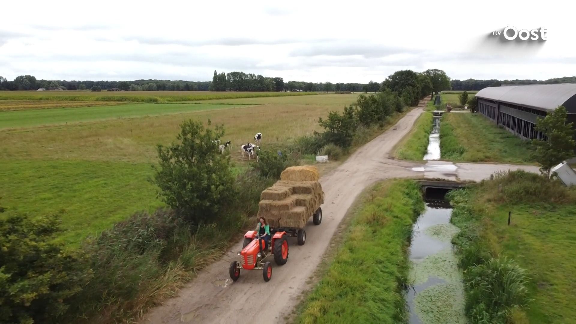 Met noabers de boer op - Melkveebedrijf Koonstra