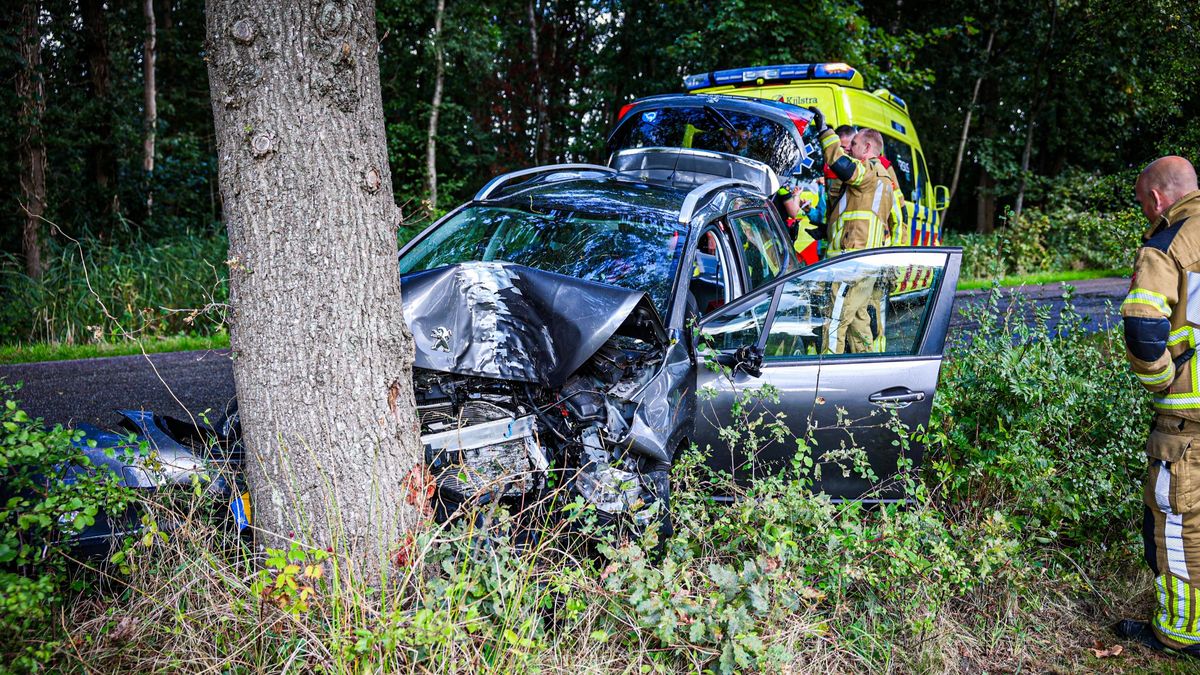 Vrouw gewond bij botsing tegen boom in Noardburgum