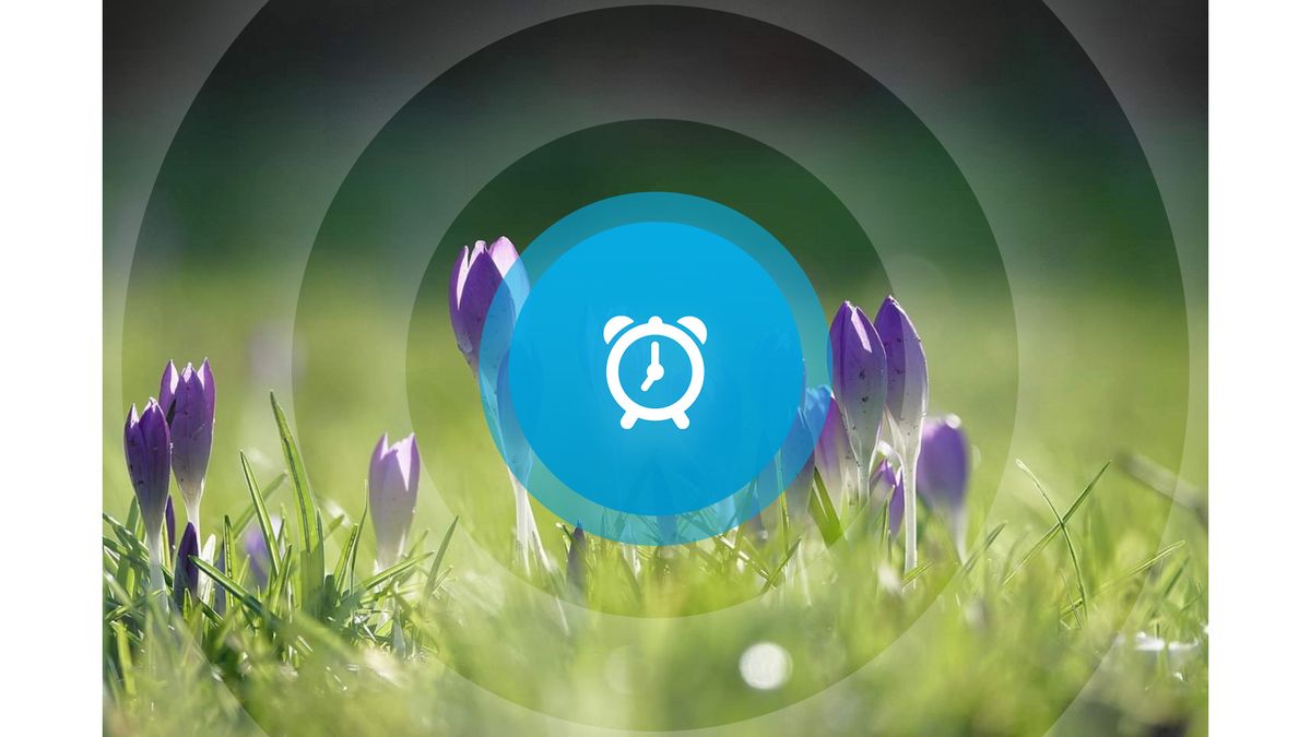 Goedemorgen! Uiengeur Sas van Gent, eerste paal in Westkapelle en dominees binnenhalen met 'loksokke