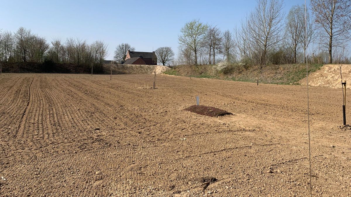 Video: Landschapsbegraafplaats geopend in Ulestraten