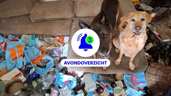 Hitte, dieren in vervuild huis en aangifte tegen pleegvader op 23 juni