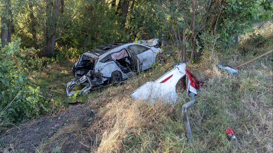 Auto vliegt uit bocht en ramt bomen in Dirksland Home