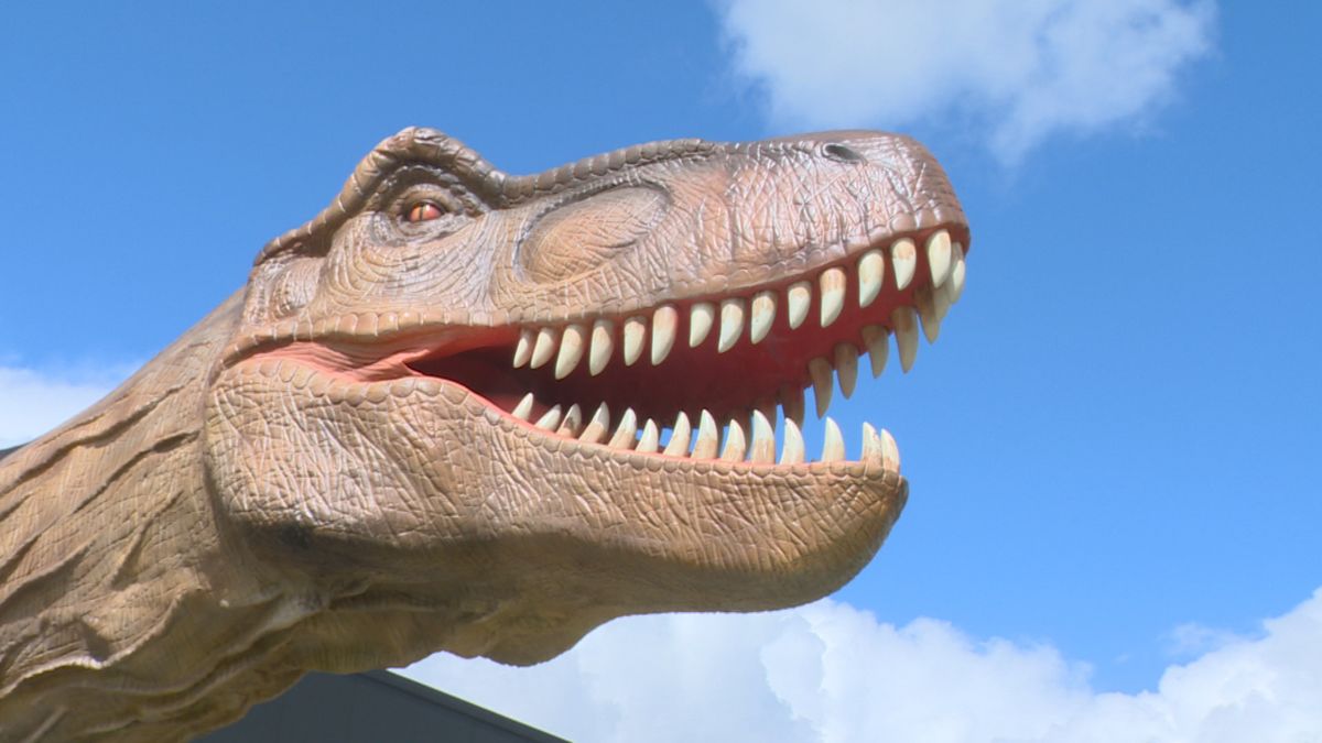 Gevaarlijke dino's in Drachten: 