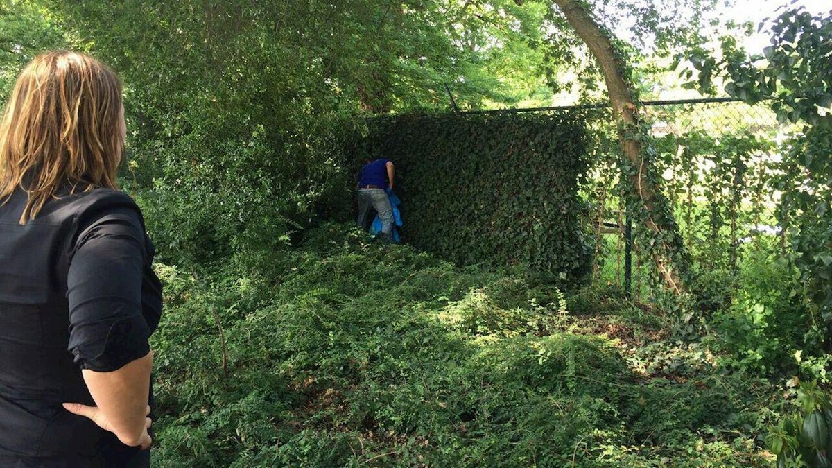 Klopjacht op winkeldieven in Zwolle door winkelmedewerker en politie