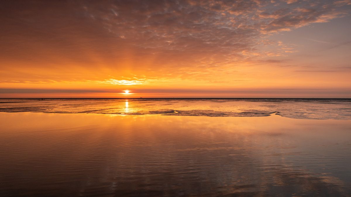 Geen ministers in Holwert en nauwelijks aandacht voor Wad in nieuwe kabinetsplannen