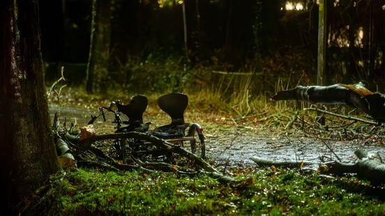Vrouw overleden na ongeluk in storm Pia. Vrouw overleden na ongeluk in storm Pia.