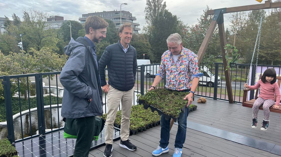 Geen tuin, maar toch iets bijdragen aan de natuur? Zo bouw je een landingsbaan voor bijen op je dak