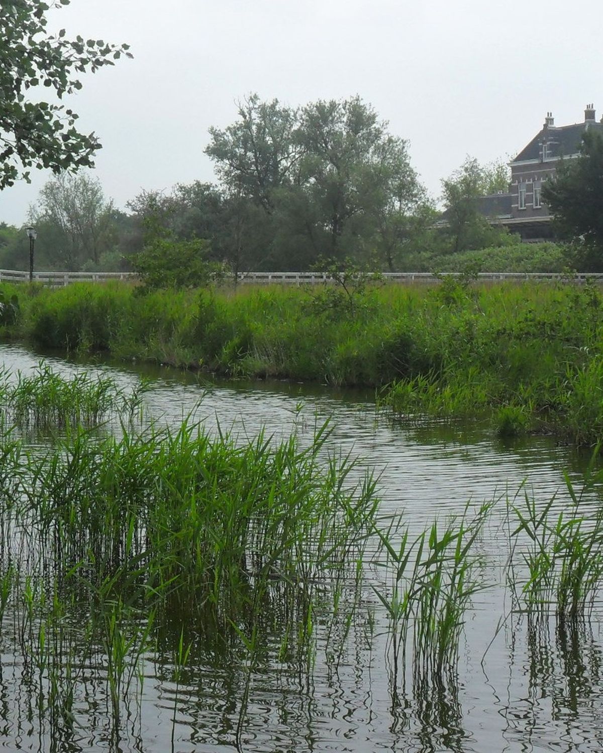 Zorgen Over Het Verwaarlozen Van Het Spoordok De Groene Zone Van Sneek zorgen-over-het-verwaarlozen-van-het-spoordok-de-groene-zone-van-sneek