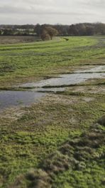 Geelbroek is natter gemaakt