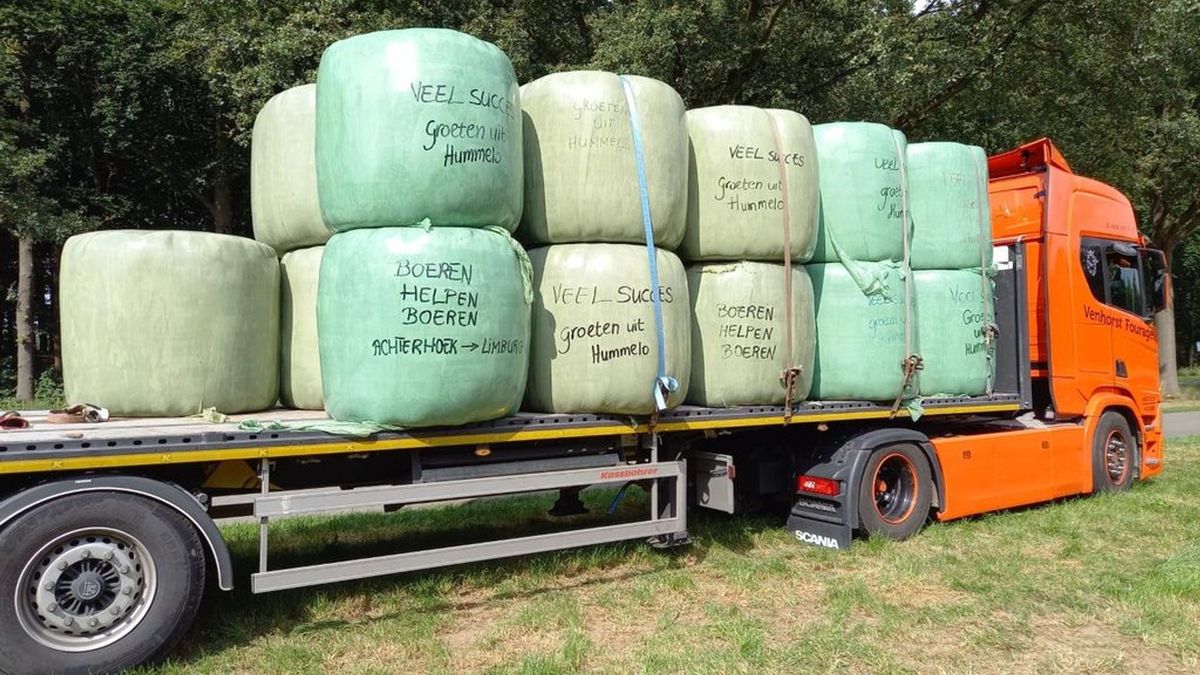 Achterhoekse boeren schieten collega's in Limburg te hulp