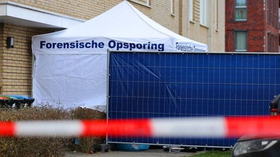 'Vrouw met 95 messteken om het leven gebracht': verdachte wordt nader onderzocht