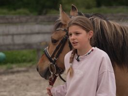 Het was een zware periode voor manege De Hazelaar in Rotterdam-Hillegersberg vanwege een besmettelijke paardenziekte.