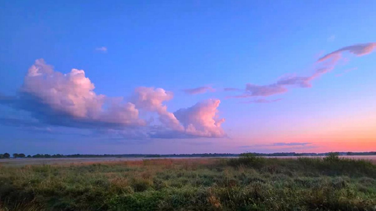 Op een roze wolk in Langelo