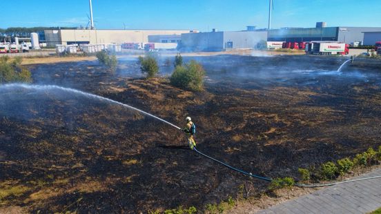 Massale uitruk voor brand Nieuwegein: grasveld van 1 hectare in vlammen opgegaan Home