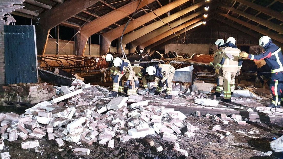 De brandweer werkte tussen de koeien