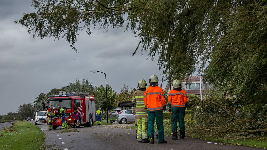 Een tak viel op een vrachtwagen in Vinkeveen.