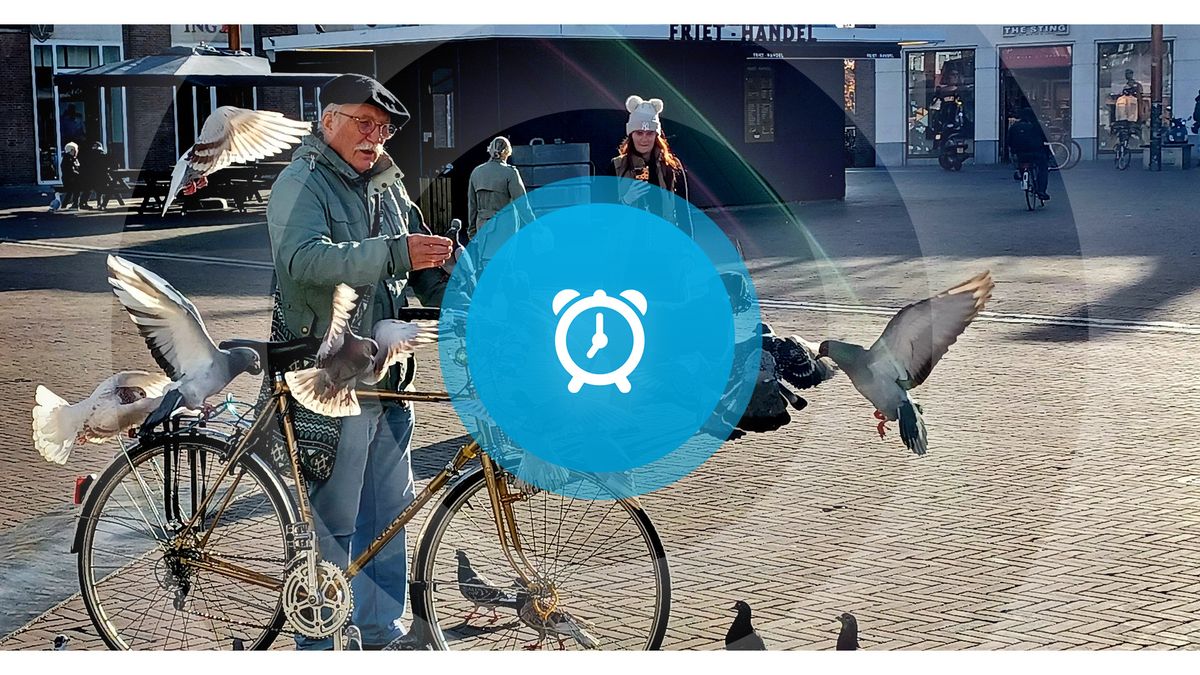 Goedemorgen! Uitreiking Cultuurprijs Zeeland, weer raadsvergadering AZC Terneuzen en nieuwe naam voo