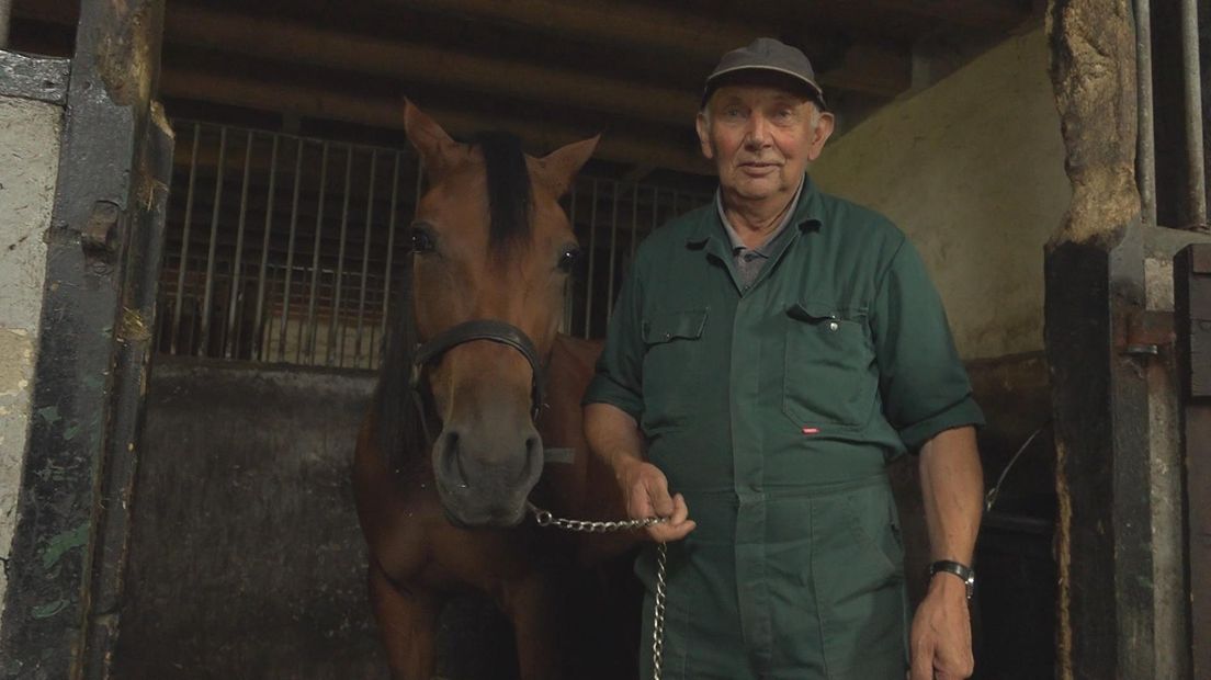 Hennie Streng met paard Juist Well in de stal in Lippenhuizen