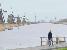 'Plannen voor mega-windturbines bedreigen Werelderfgoed Kinderdijk'