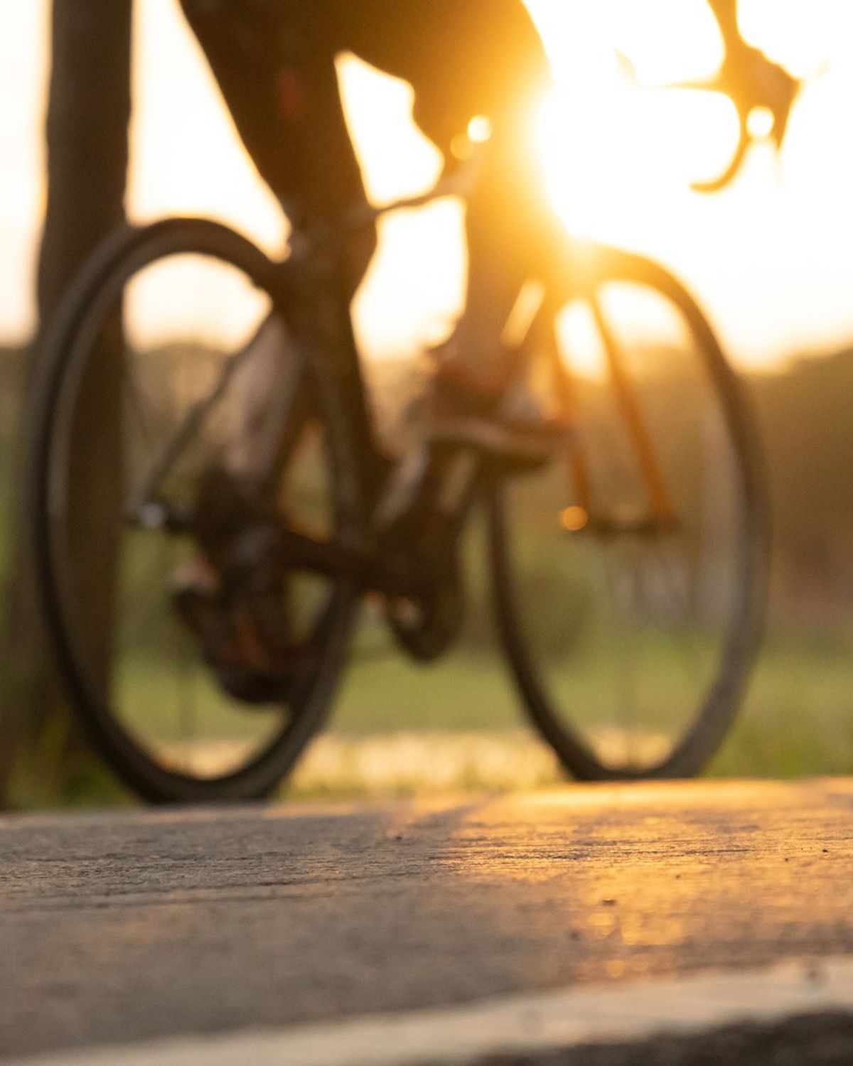 Twee Friese snelfietsroutes krijgen 1,5 miljoen subsidie van het Rijk ...