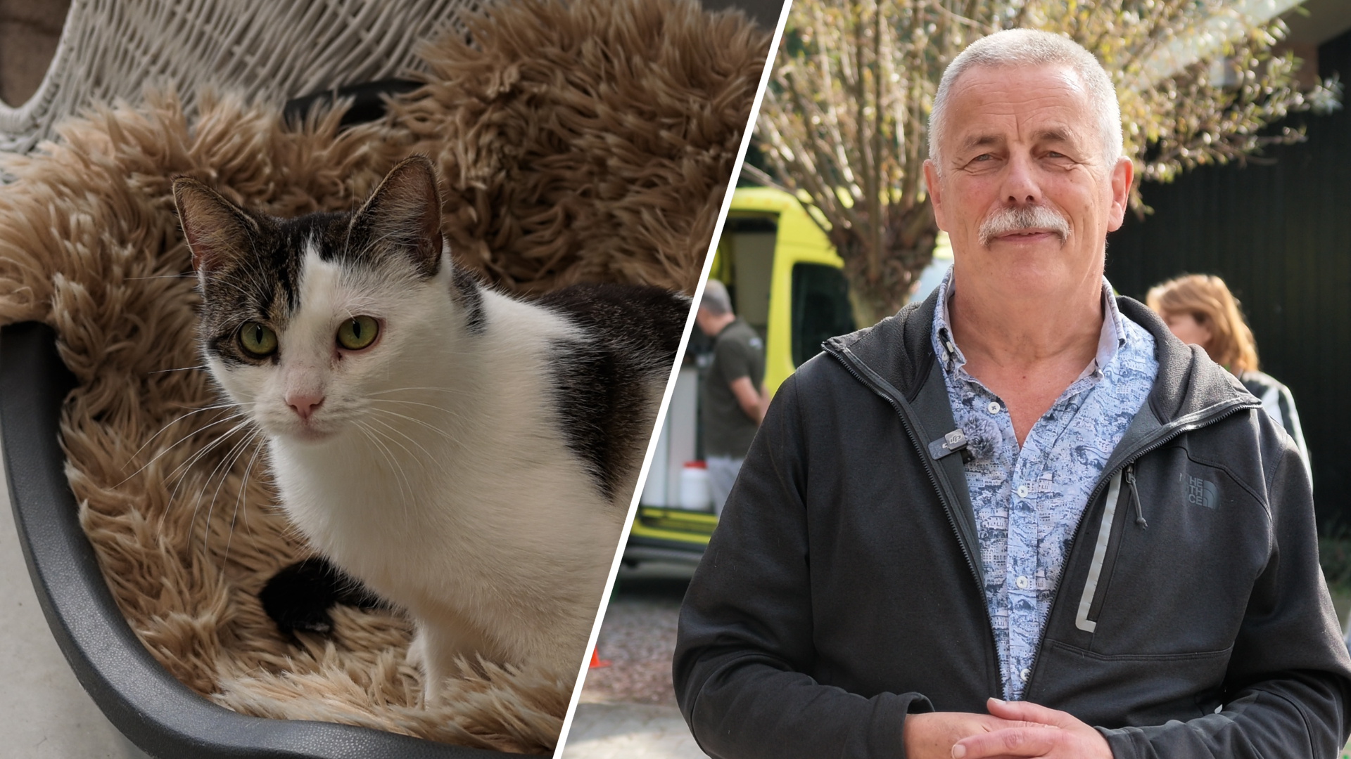 Skippy, Budha en Bono zoeken een baasje, en hun dierenasiel extra vrijwilligers