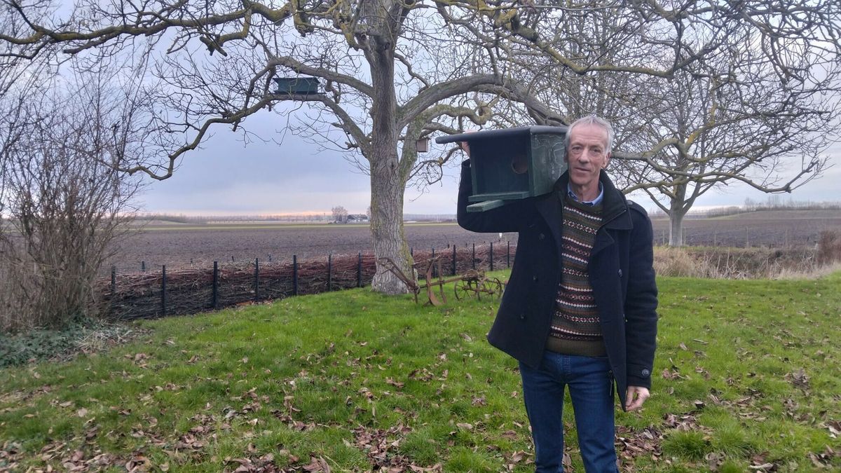 Met camera’s in nestkasten op zoek naar de oorzaak van de afname van de steenuil